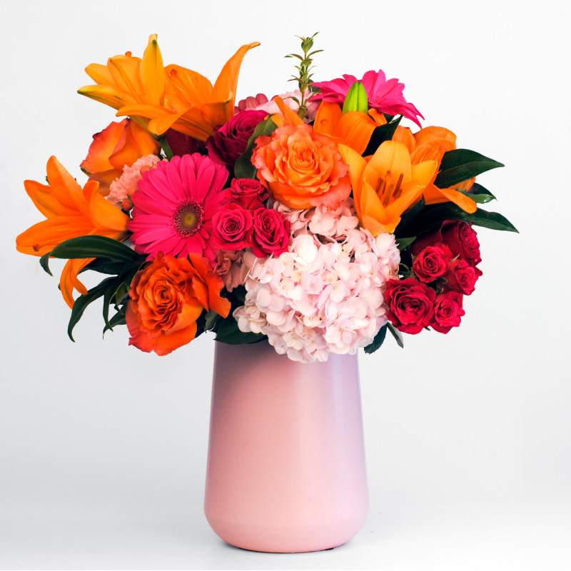 Tangerine Dream Grande - Same Day Delivery