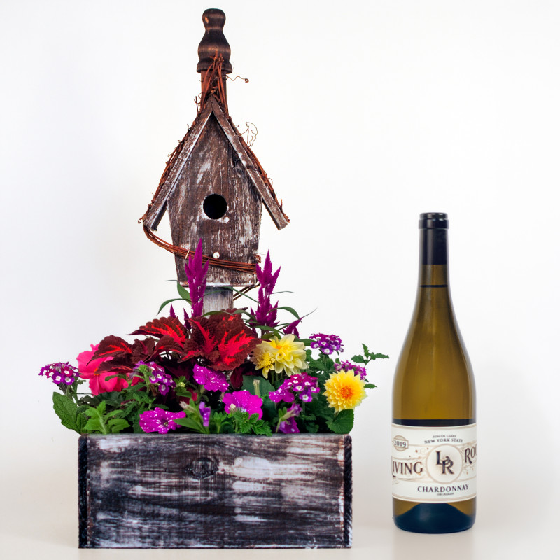 Birdhouse Garden and Chardonnay Bundle - Same Day Delivery