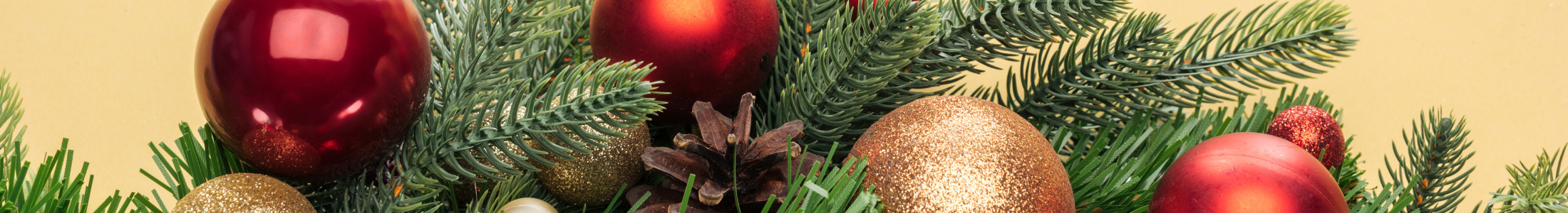 Vendors meet tree york christmas Christmas Tree Shop Henrietta Ny / Aliso Viejo Christmas Tree Shopping