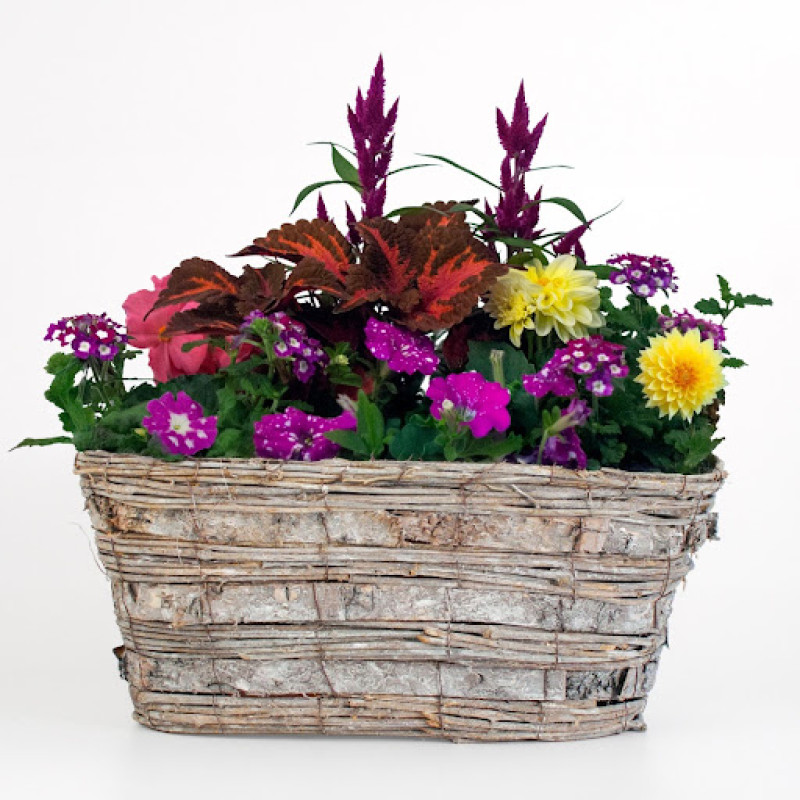 Rooted In Love Outdoor Porch Planter - Same Day Delivery