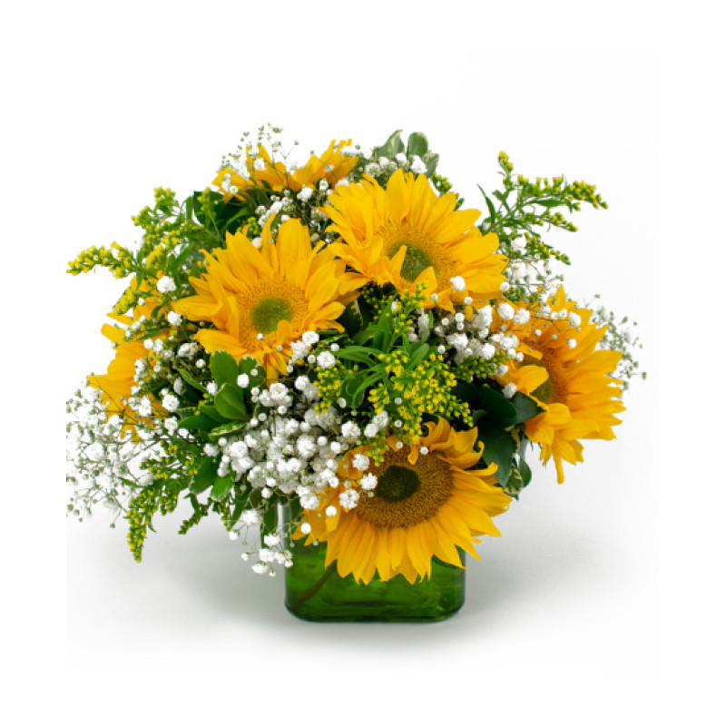 Sunflower Smile Bouquet - Same Day Delivery