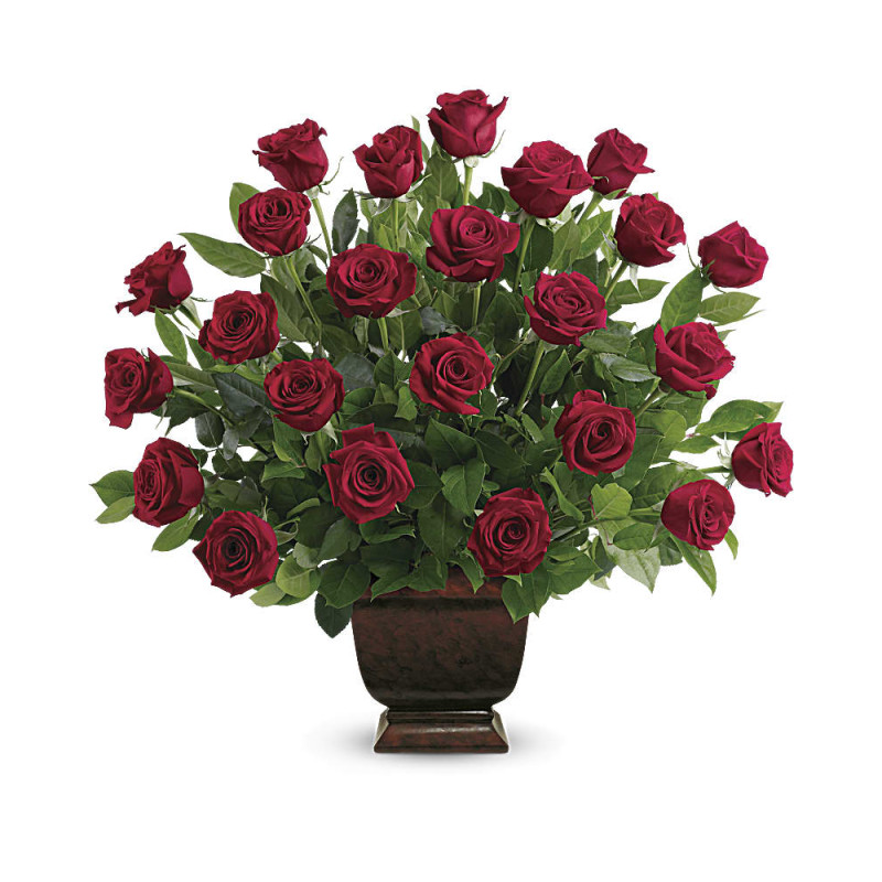 Rose Tribute - Same Day Delivery