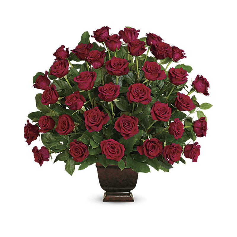 Rose Tribute - Same Day Delivery