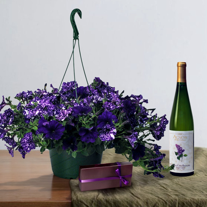 Rochester Treat Trio - Same Day Delivery