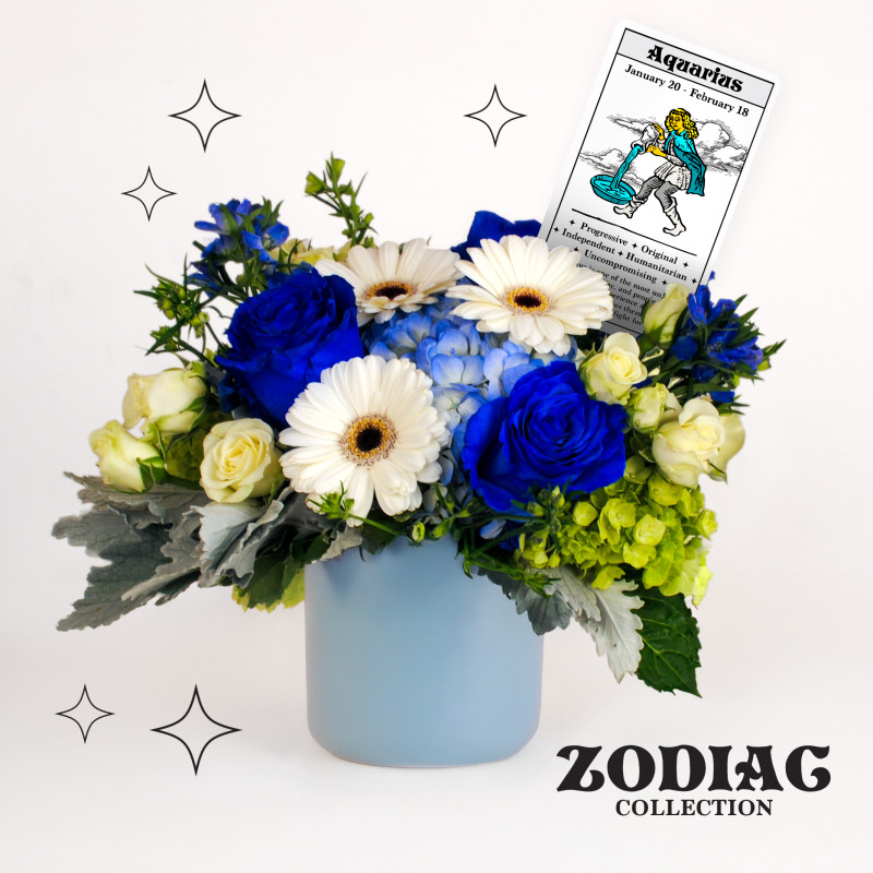 Zodiac Collection AQUARIUS Bouquet - Same Day Delivery