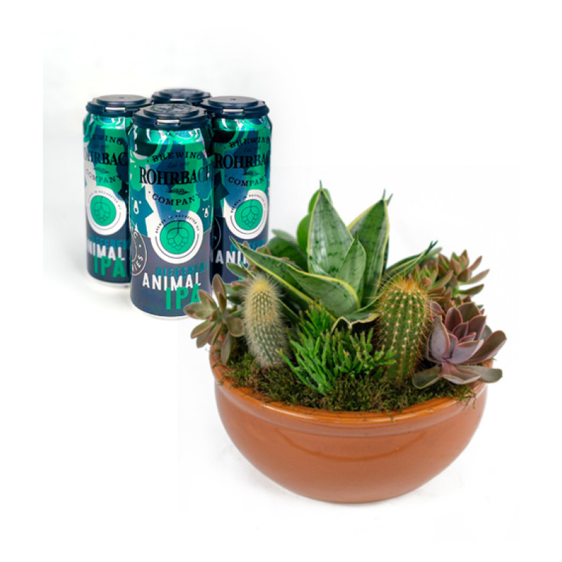 Southwest Succulent Cactus Garden and Different Animal Beer  - Same Day Delivery