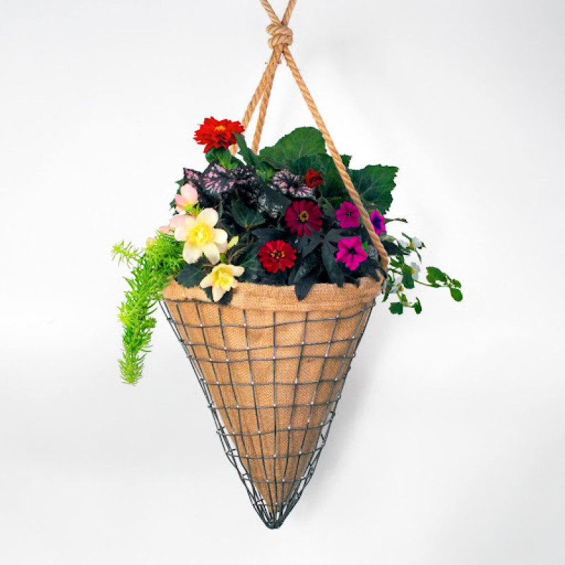 Garden Graffiti Outdoor Hanging Planter - Same Day Delivery