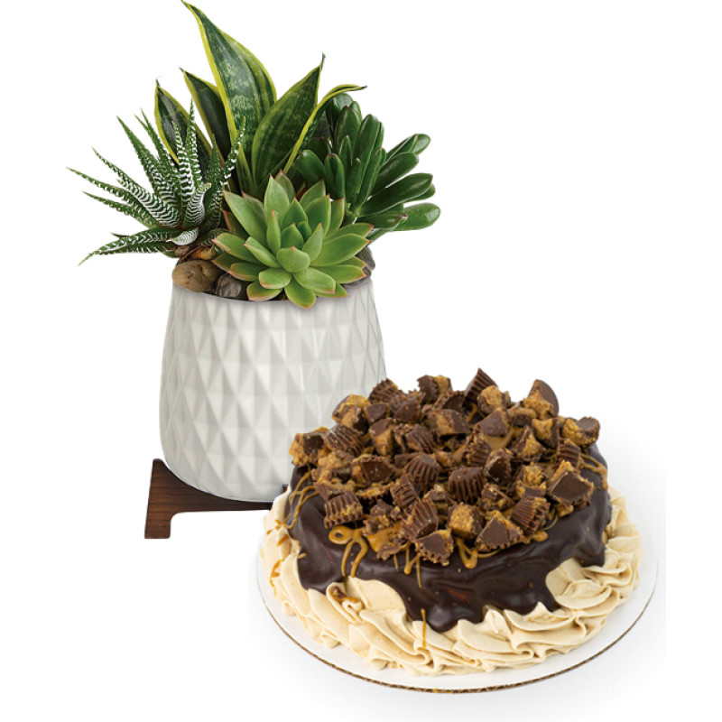 Peanut Butter Mood Duo - Same Day Delivery