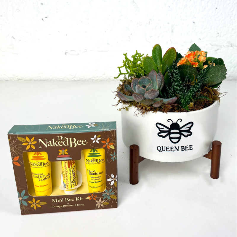 Queen Bee Succulent Planter with Mini Naked Bee Kit - Same Day Delivery