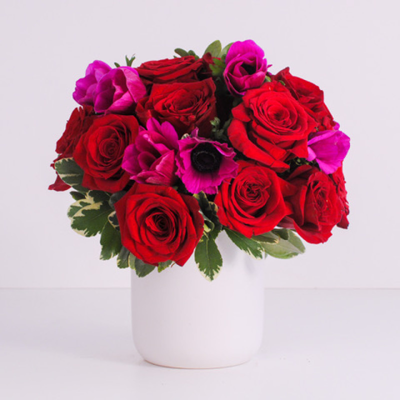 Red Rose and Hot Pink Anemone Bouquet - Same Day Delivery