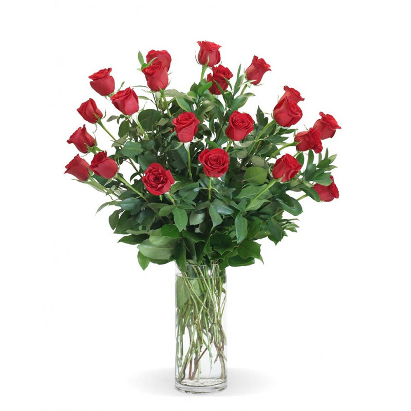 Double Dozen Traditional Red Roses - Same Day Delivery