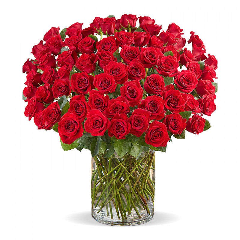 100 WOW Traditional Rose Bouquet - Same Day Delivery