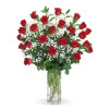 Double Dozen Traditional Red Roses: Double dozen with Babies Breath