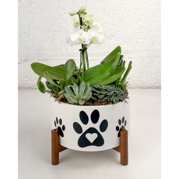 Paws for Love Planter